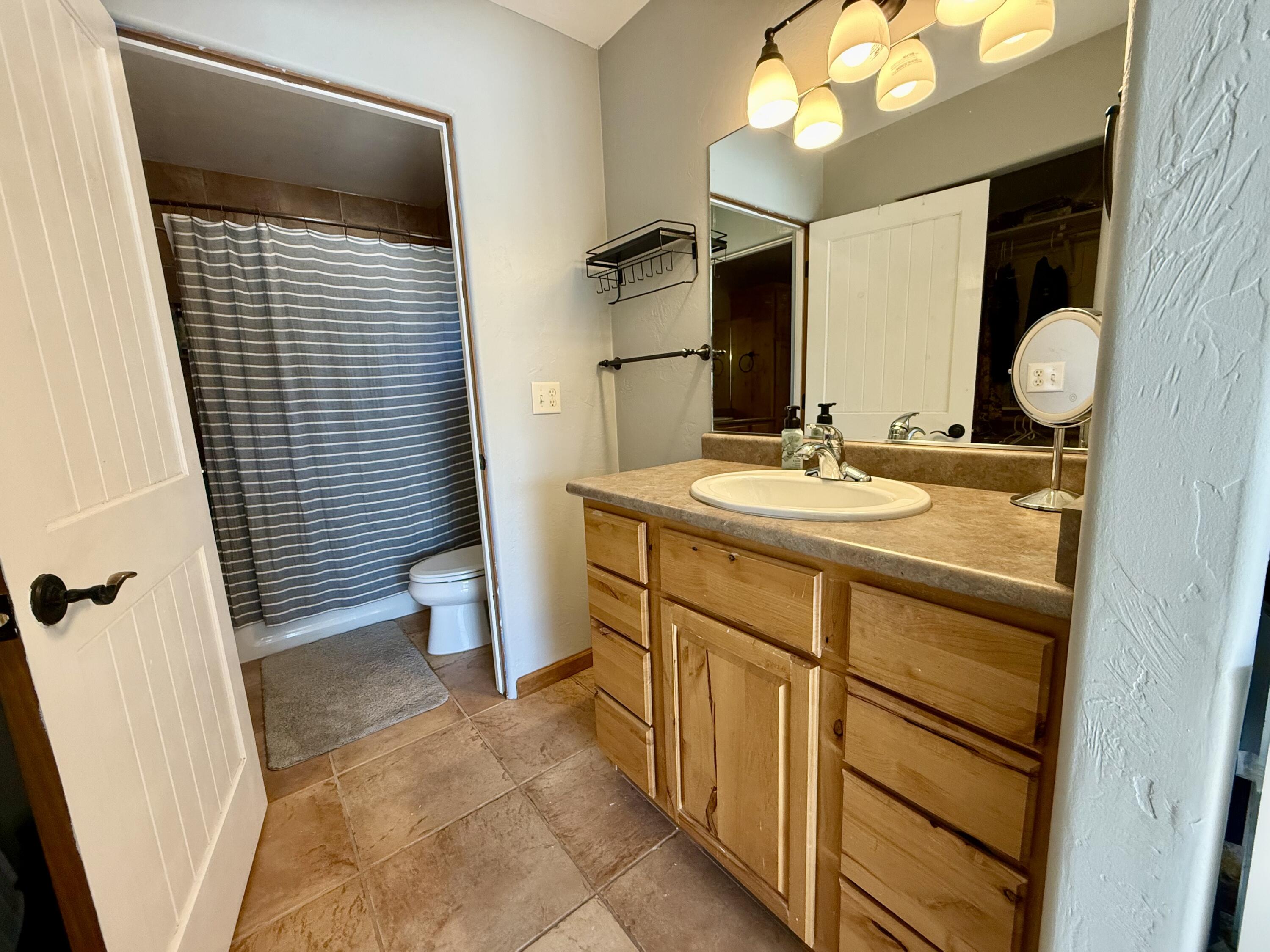 511 Marion Overlook Ridgway, CO 81432 - Photo 17 of 27 Upstairs Bathroom