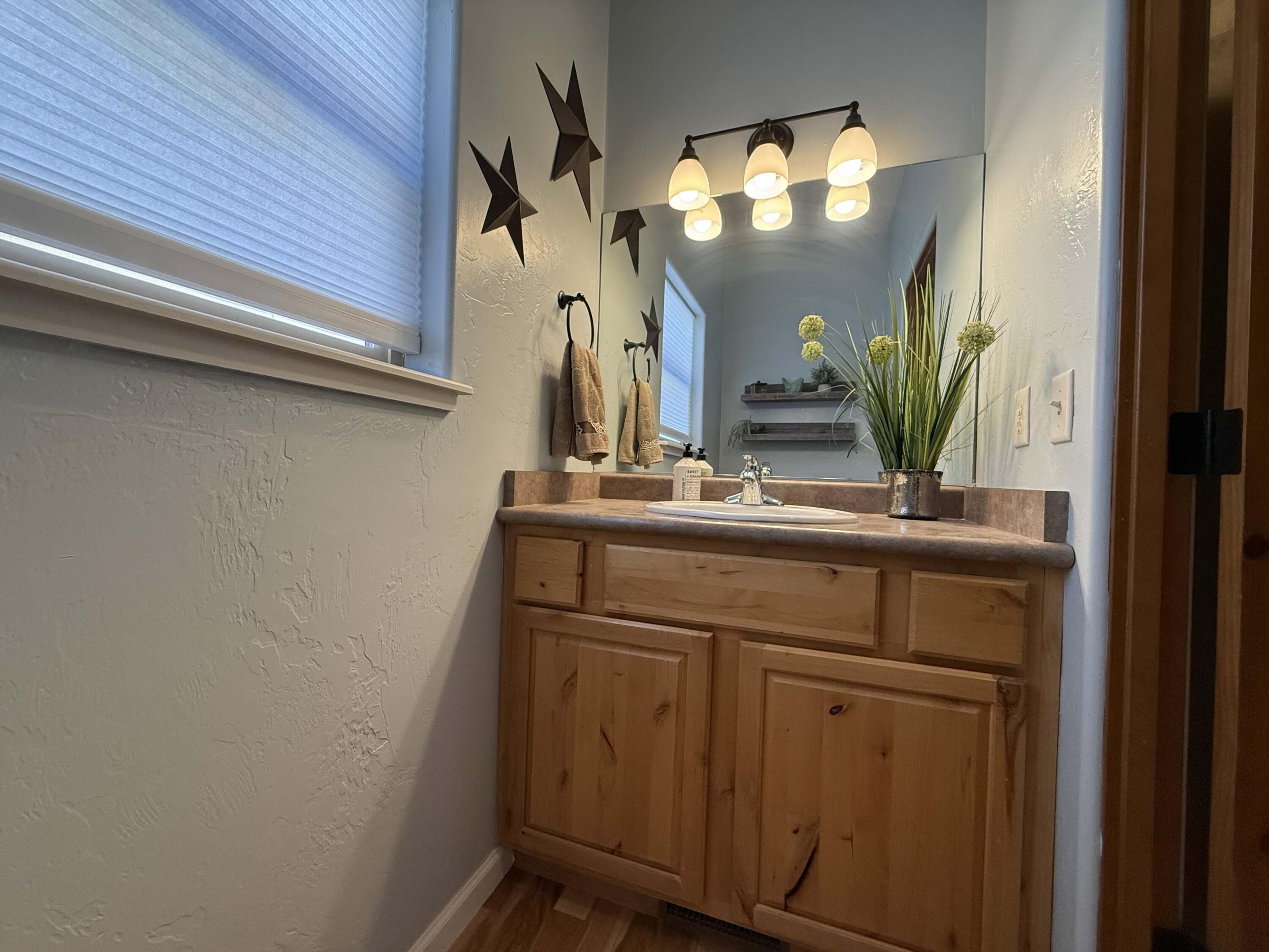 511 Marion Overlook Ridgway, CO 81432 - Photo 23 of 27 Downstairs Half Bath