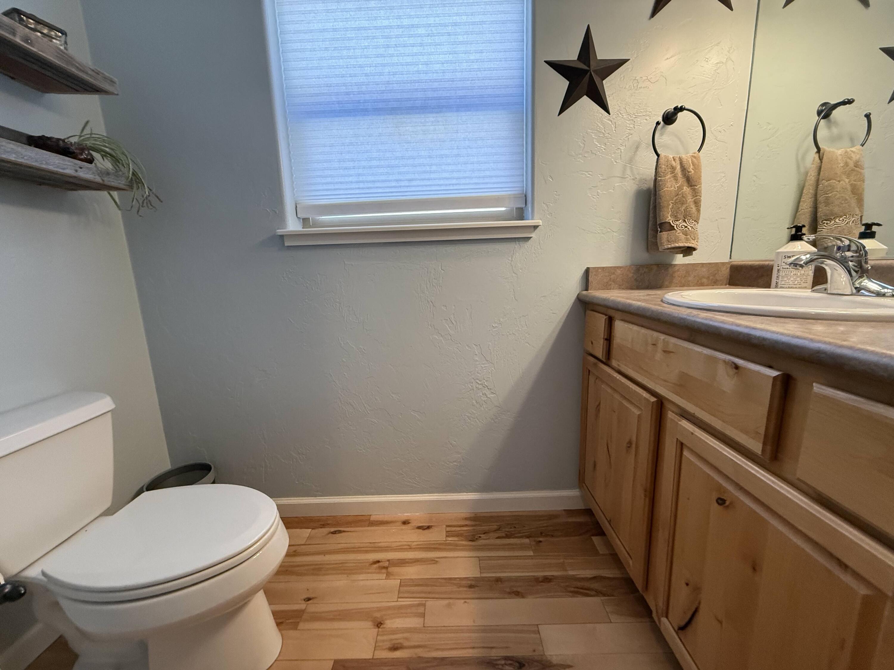 511 Marion Overlook Ridgway, CO 81432 - Photo 24 of 27 Downstairs Half Bath