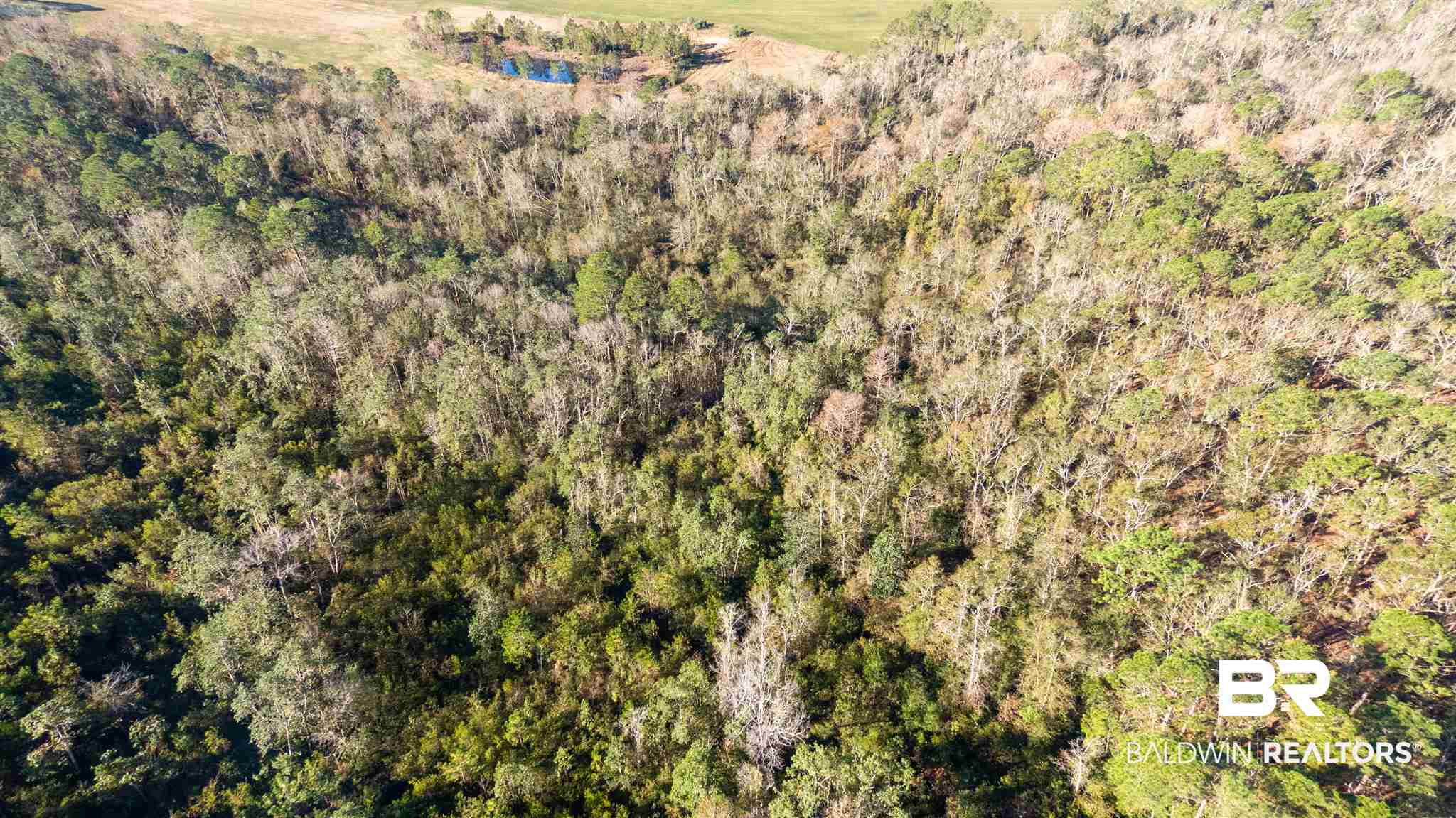 0 McPhillips Road Loxley, AL 36551 - Photo 25 of 27