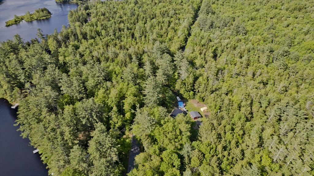 85 Damon Pond Road Chesterfield, MA 01012 - Photo 38 of 42 a view of a big yard with plants and large trees
