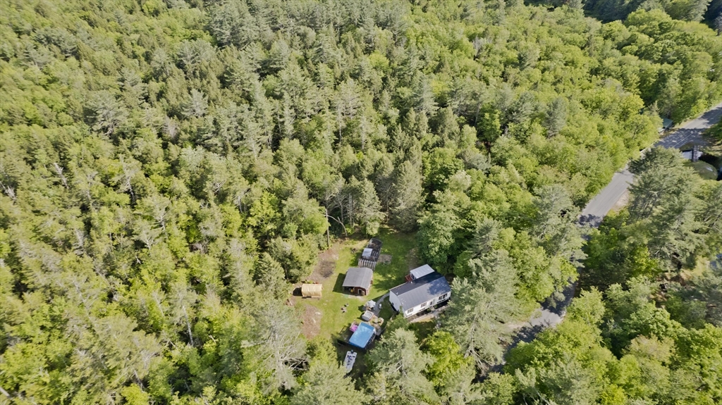 85 Damon Pond Road Chesterfield, MA 01012 - Photo 41 of 42 a view of a lush green field