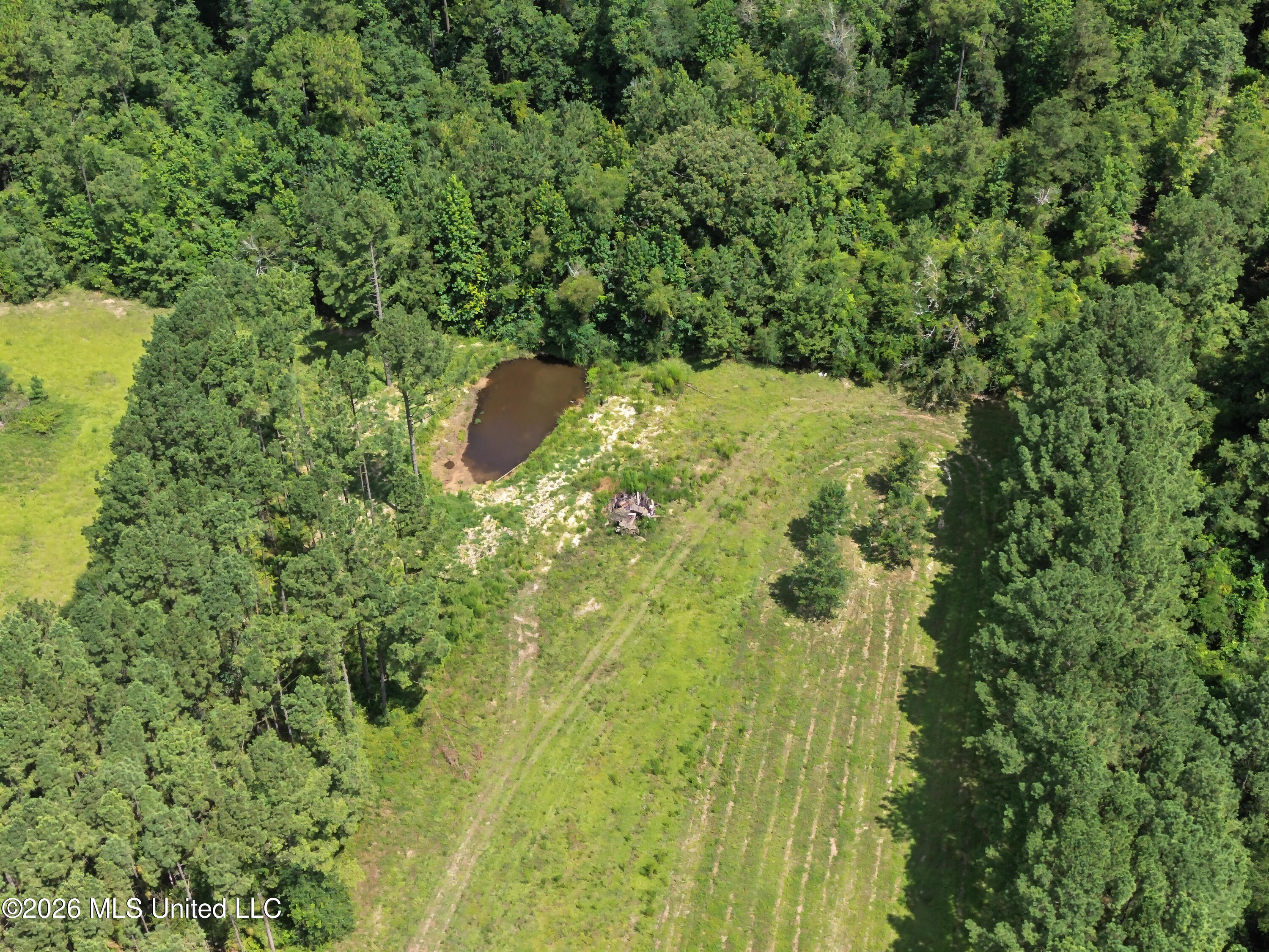 116 Levi Bryant Road Lumberton, MS 39455 - Photo 44 of 45 DJI_0142
