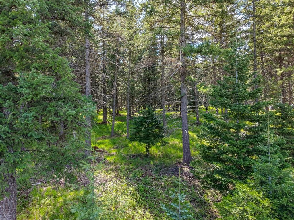 260 Bobtail Mdw Road Libby, MT 59923 - Photo 40 of 44 Gallery Image 40