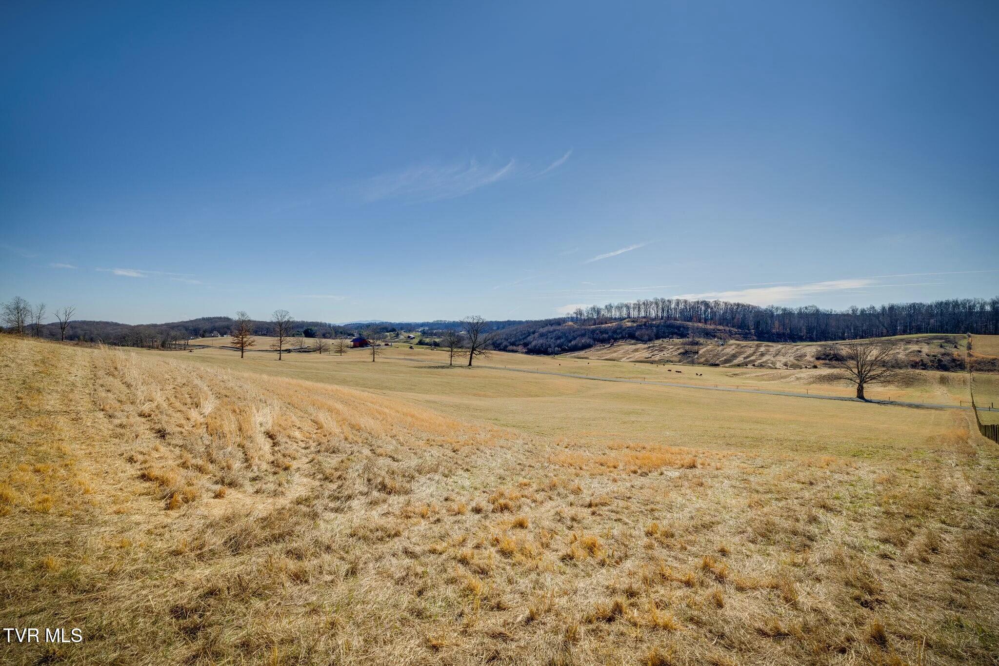 Lot 1 Jackson Road, Unit 1 Fall Branch, TN 37656 - Photo 23 of 24 tempImagedLgzhT