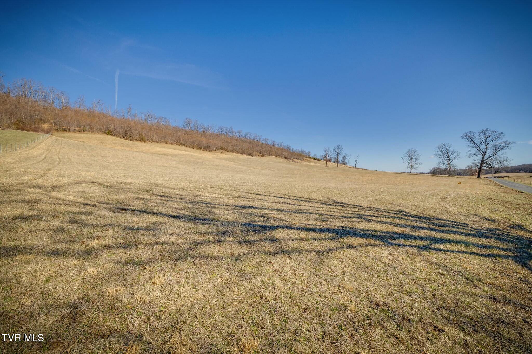 Lot 1 Jackson Road, Unit 1 Fall Branch, TN 37656 - Photo 24 of 24 tempImagee2cGMn