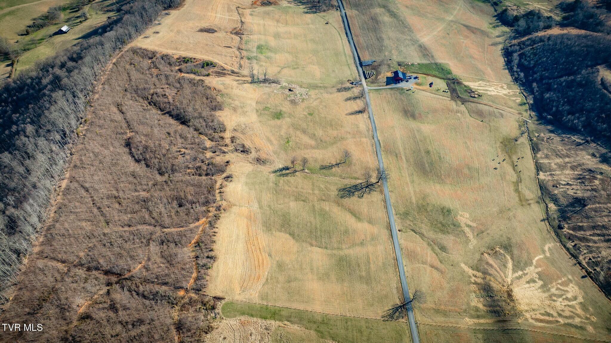 Lot 1 Jackson Road, Unit 1 Fall Branch, TN 37656 - Photo 4 of 24 tempImageTRQhJ4