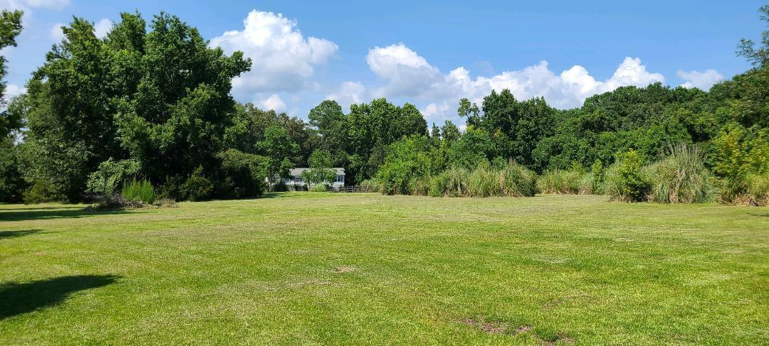 6490 Long Island Road Meggett, SC 29449 - Photo 4 of 5 fenced and cross fenced