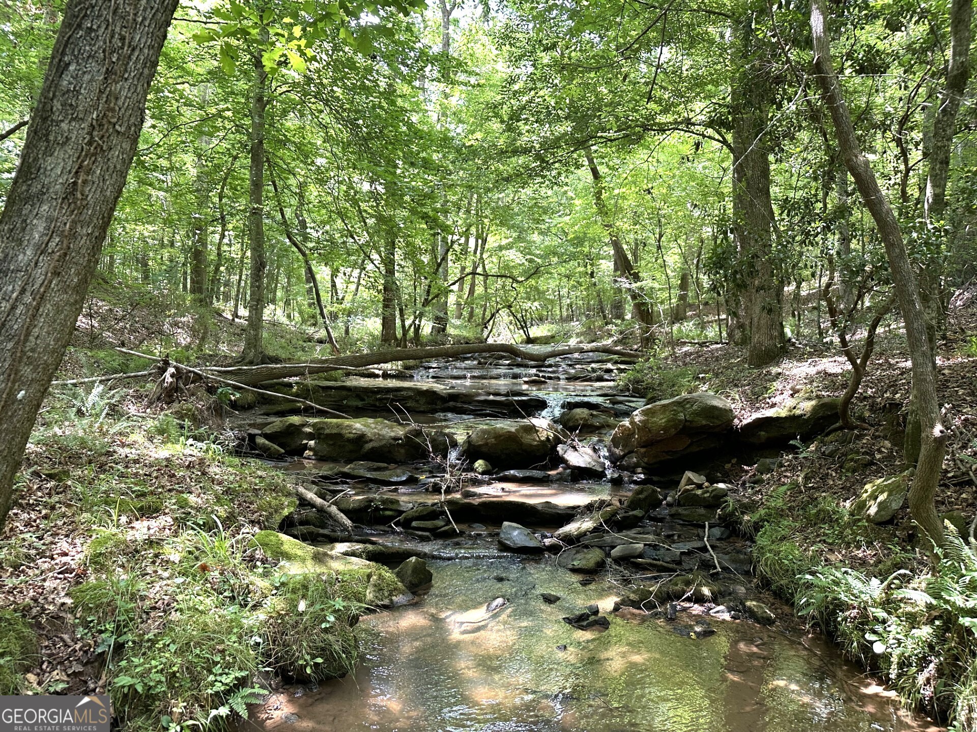 360 Happy Hollow Road Comer, GA 30629 - Photo 26 of 31