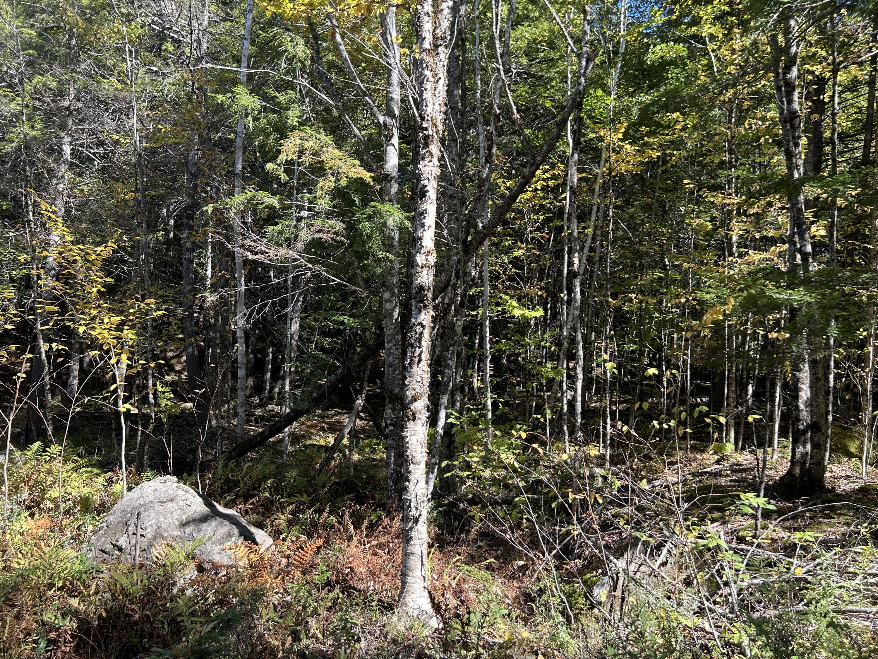 M6-l16-12-3 Beaver Brook Road Dover-Foxcroft, ME 04426 - Photo 6 of 11 IMG_1230