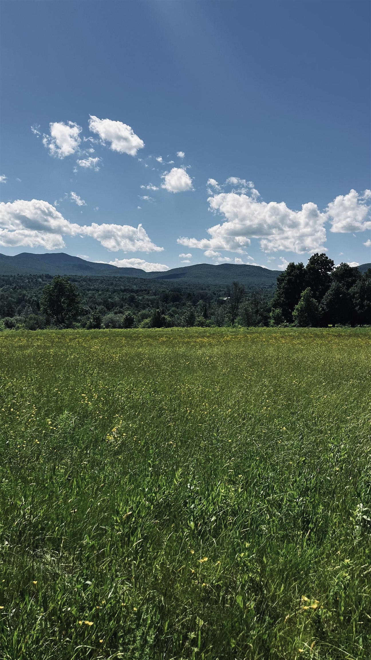 237 Loop Road Jay, VT 05859 - Photo 12 of 34