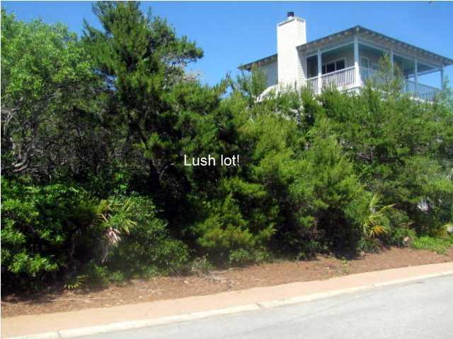 Lot 33 Old Beach Road Santa Rosa Beach, FL 32459 - Photo 3 of 13 Additional Photo