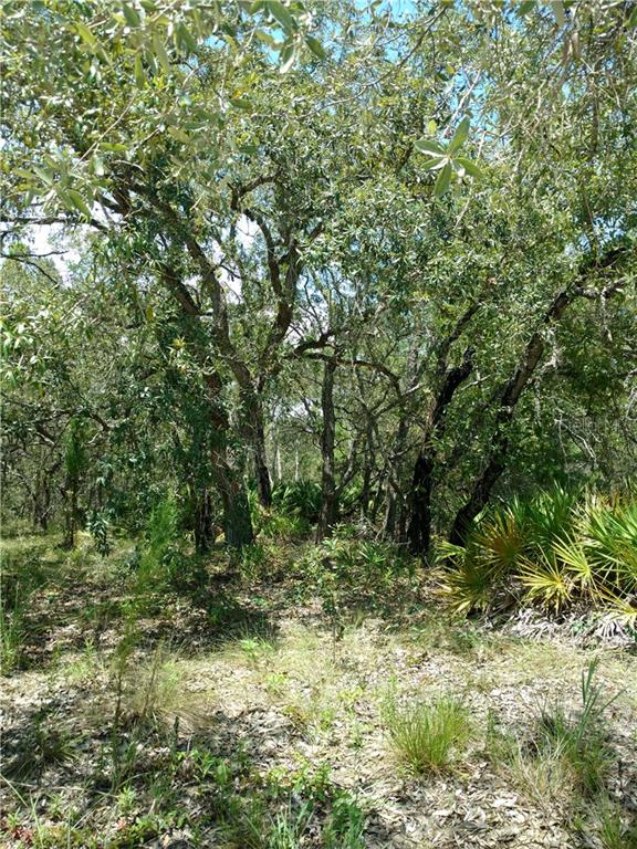 11023 Mansign Road Weeki Wachee, FL 34613 - Photo 1 of 1 Gallery Image 1
