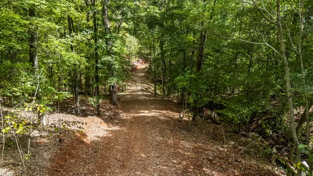a view of a city with lush green forest
