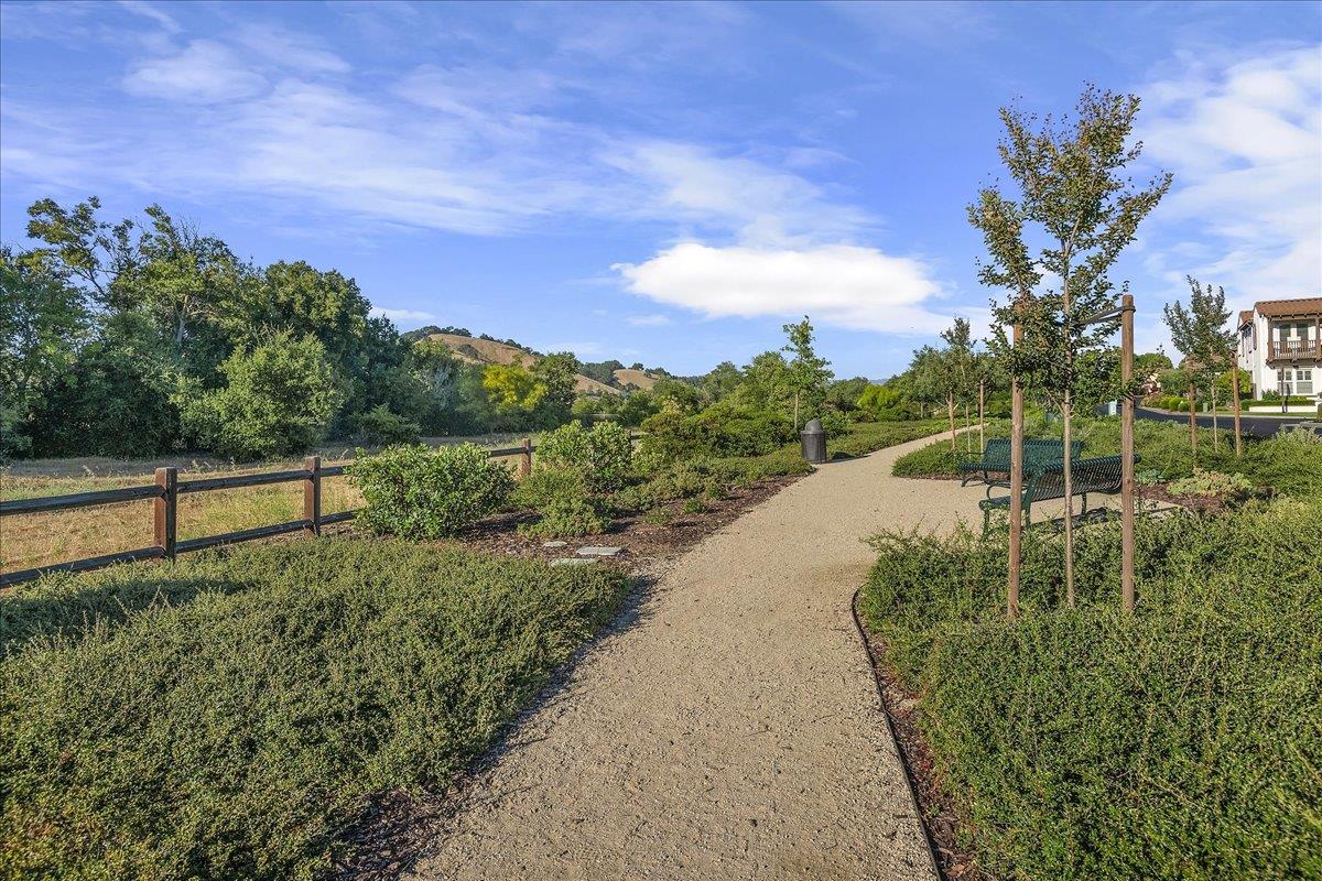 7626 Braid Court Gilroy, CA 95020 - Photo 43 of 49 a view of a backyard