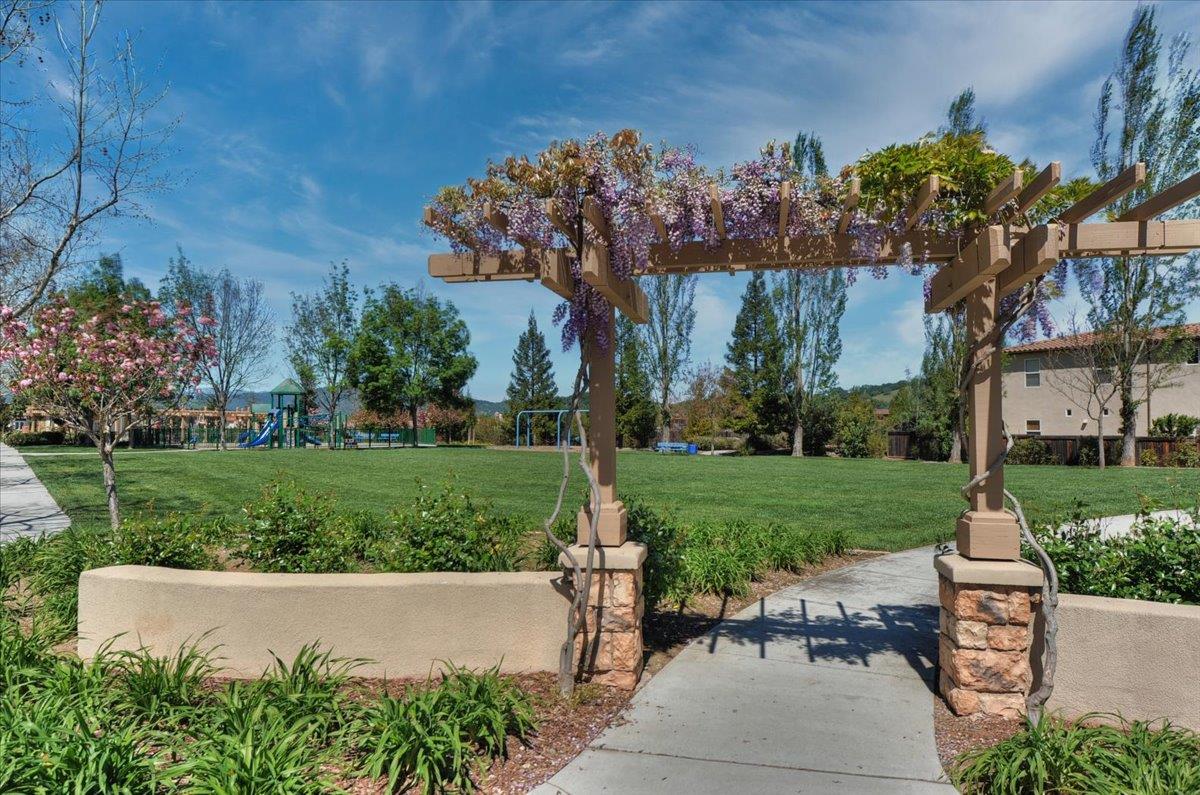 7626 Braid Court Gilroy, CA 95020 - Photo 47 of 49 a view of a park with plants and trees