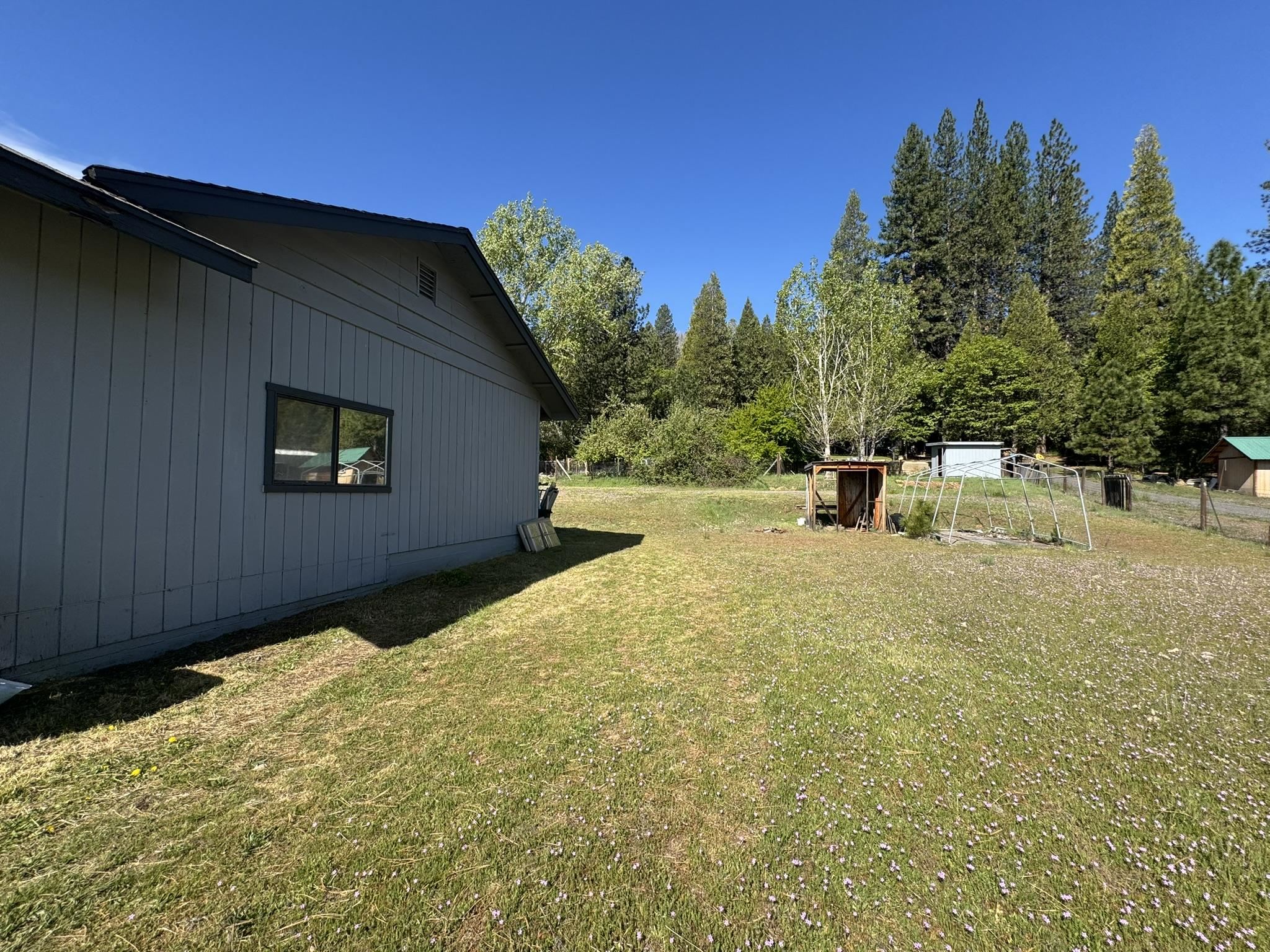 17347 Mountain View Road Greenville, CA 95947 - Photo 7 of 33