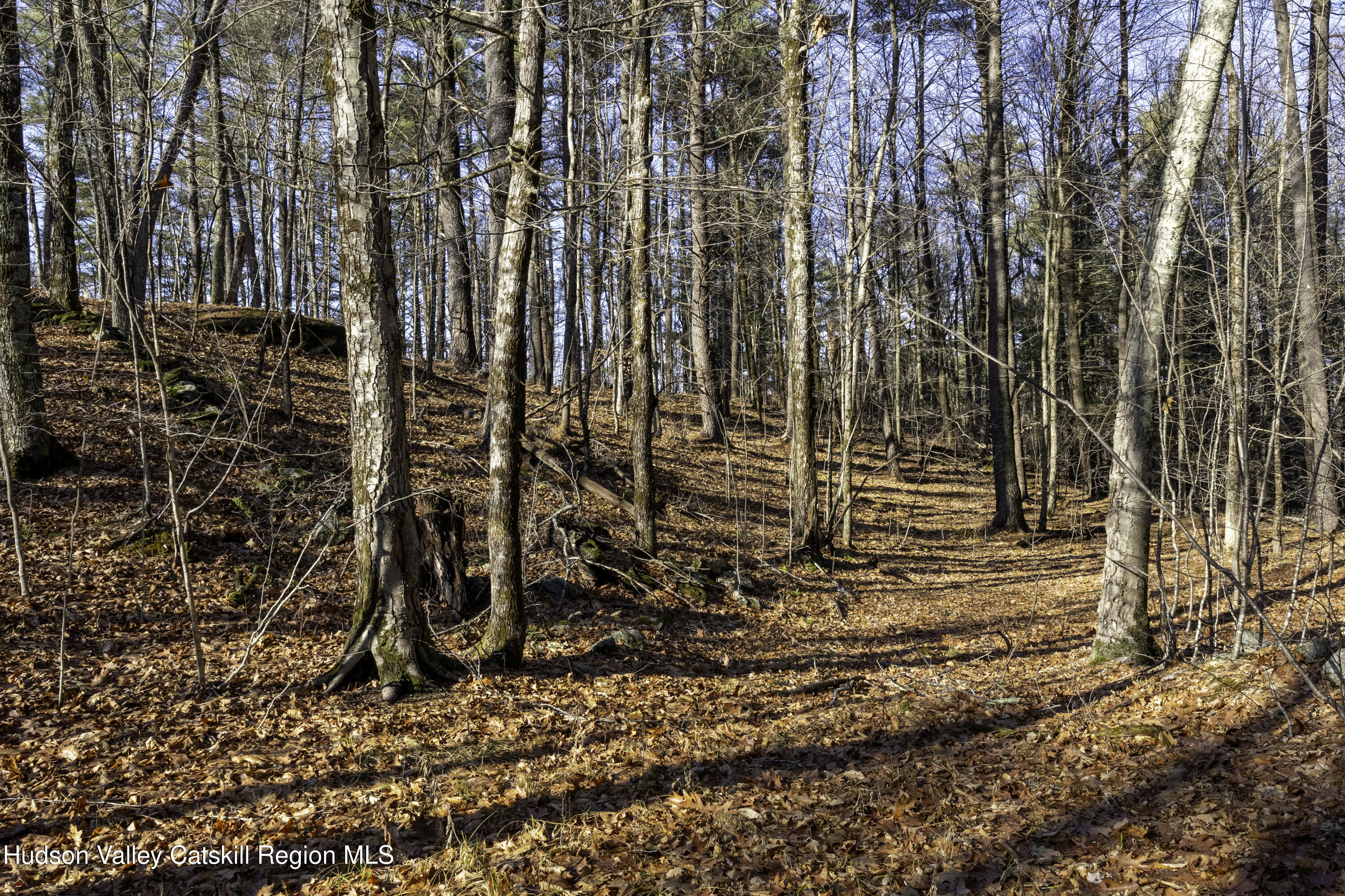 0 Riders Mills Road Old Chatham, NY 12136 - Photo 26 of 27 7Y3A6256