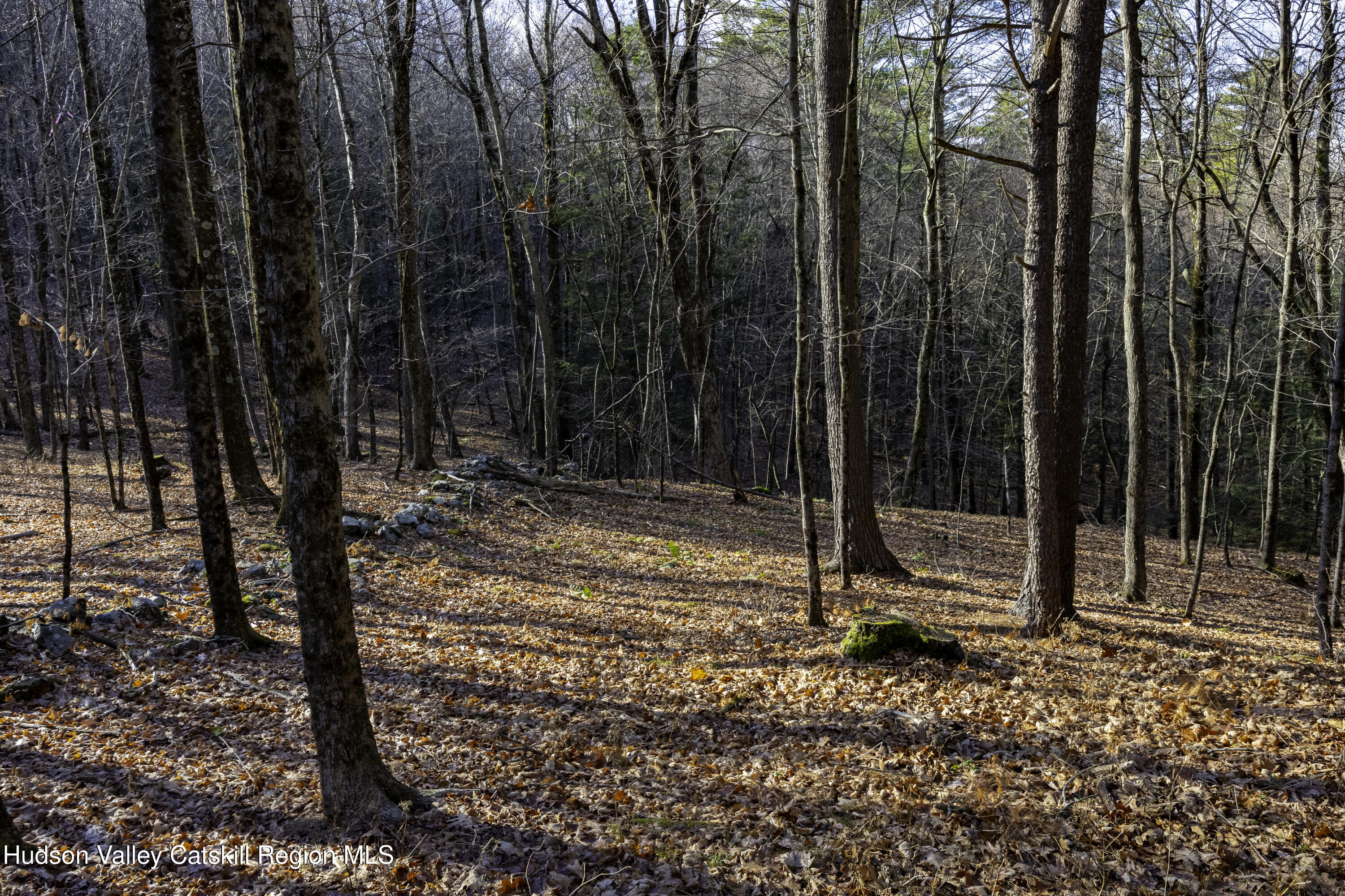 0 Riders Mills Road Old Chatham, NY 12136 - Photo 27 of 27 7Y3A6261