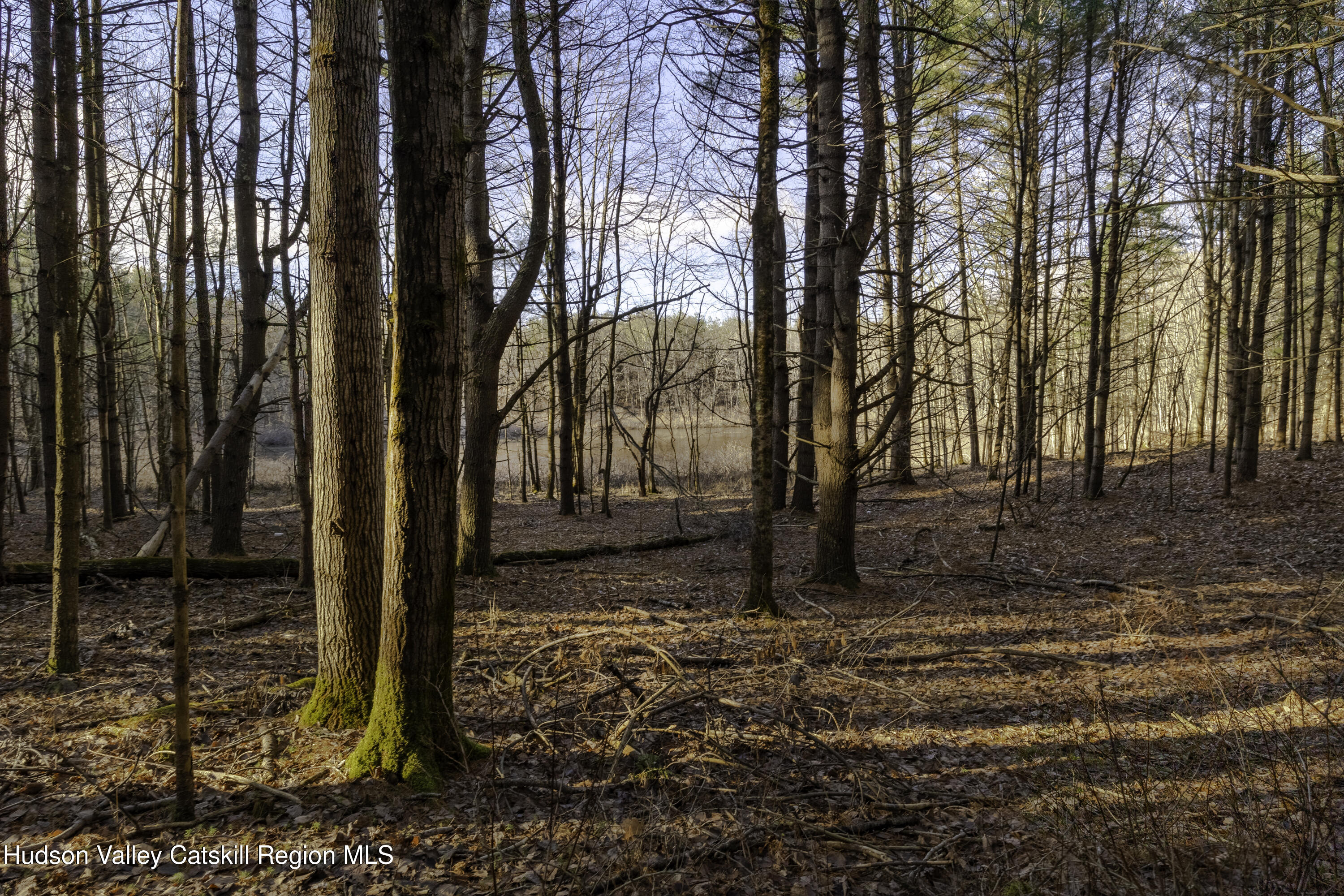 0 Riders Mills Road Old Chatham, NY 12136 - Photo 3 of 27 7Y3A6298