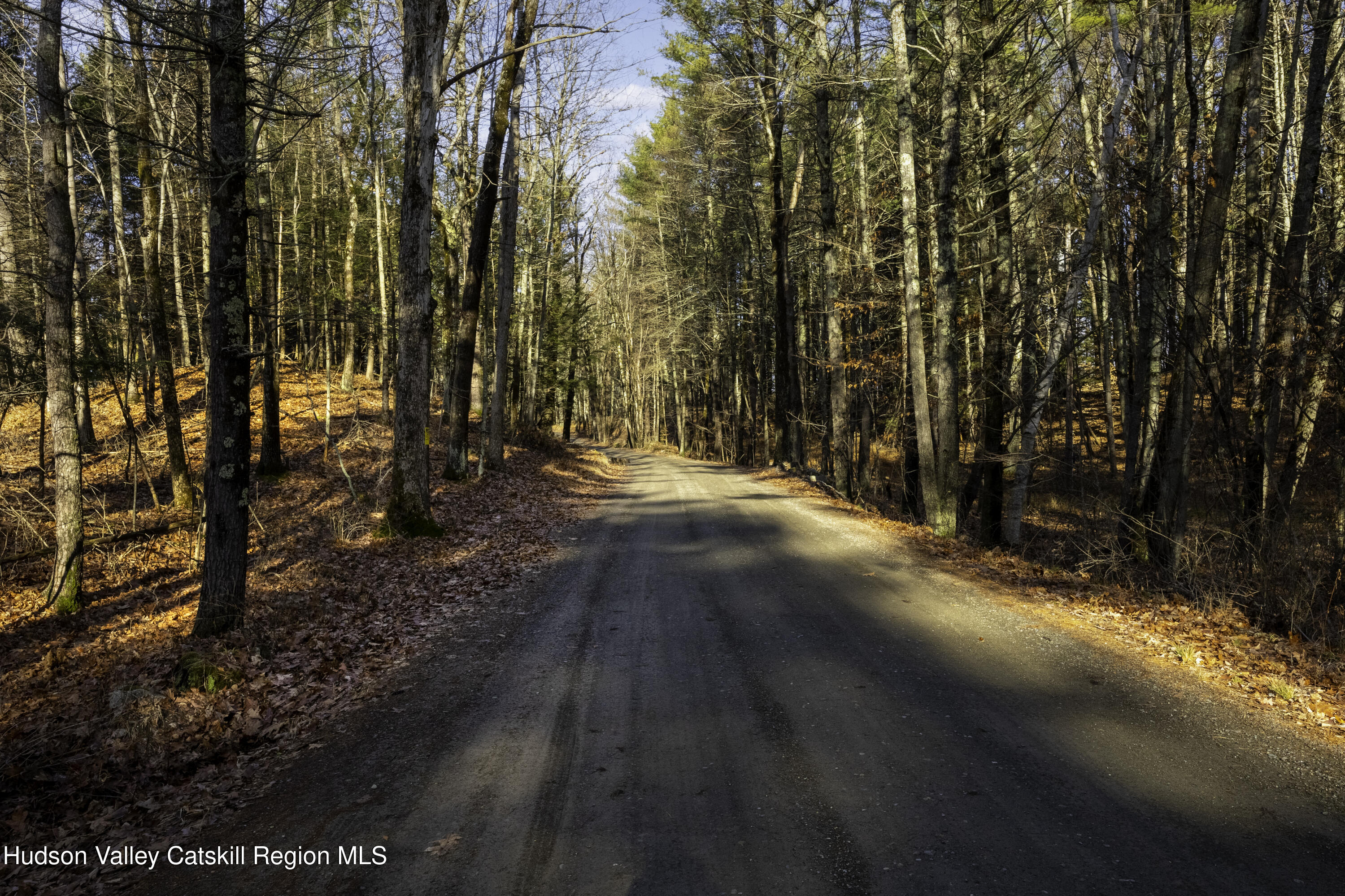 0 Riders Mills Road Old Chatham, NY 12136 - Photo 4 of 27 7Y3A6283