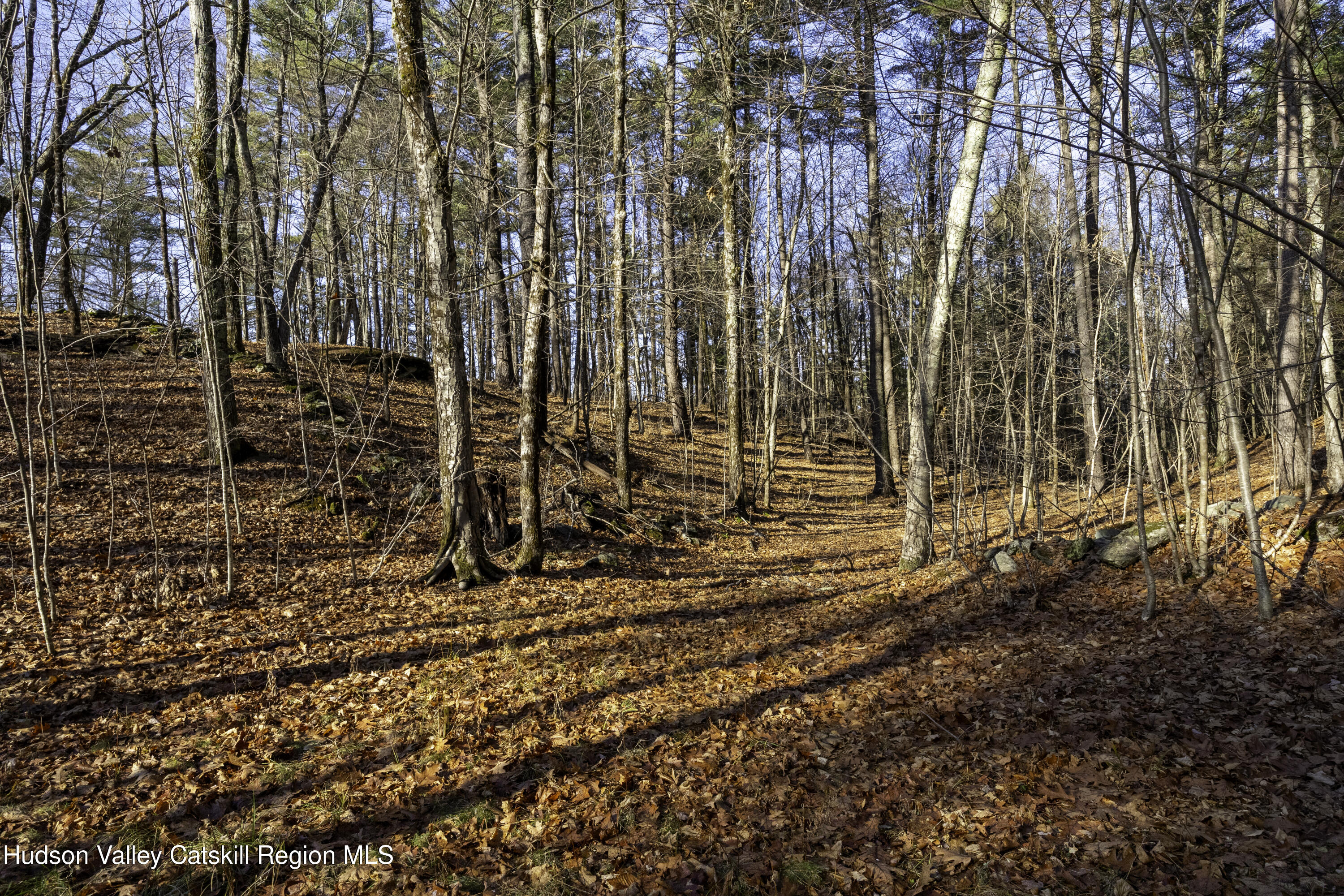 0 Riders Mills Road Old Chatham, NY 12136 - Photo 6 of 27 7Y3A6251