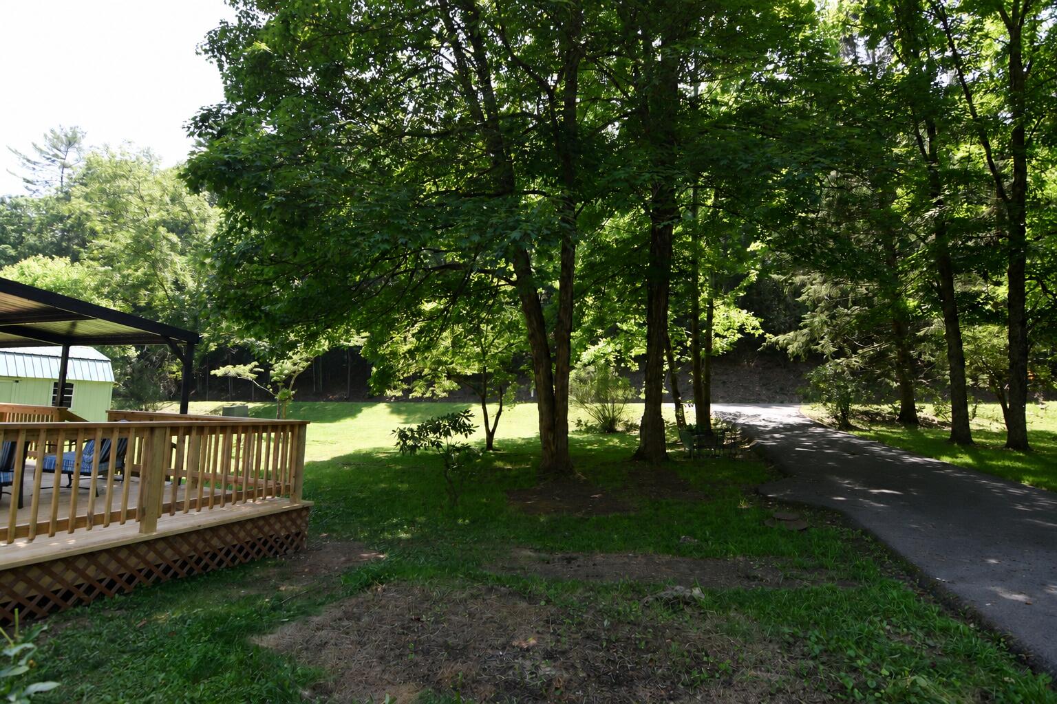 326 Rogers Road Covington, VA 24426 - Photo 6 of 30 Yard and Driveway