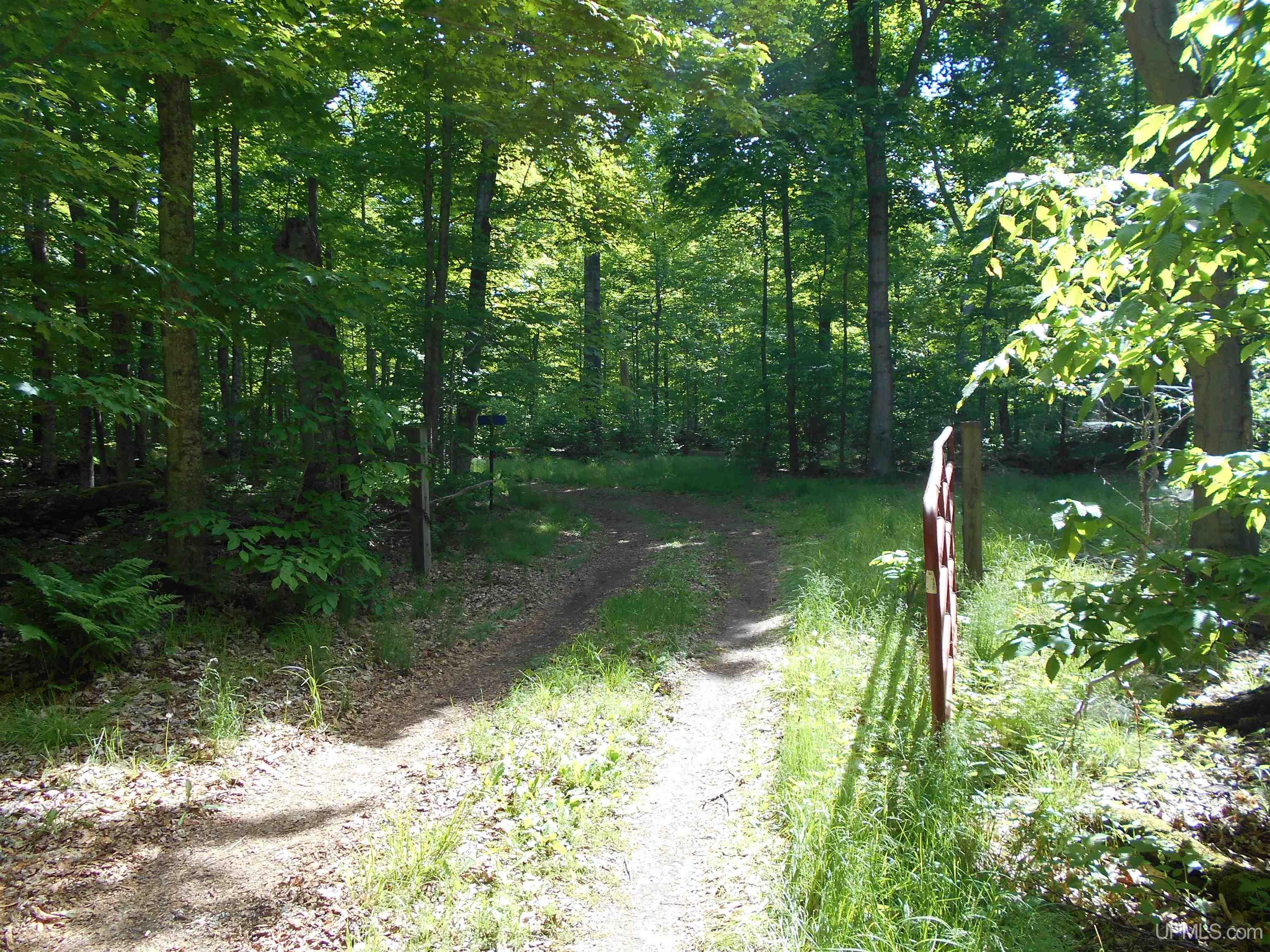 Tbd West Parcel B Little Harbor Road Manistique, MI 49854 - Photo 19 of 43 Gallery Image 19