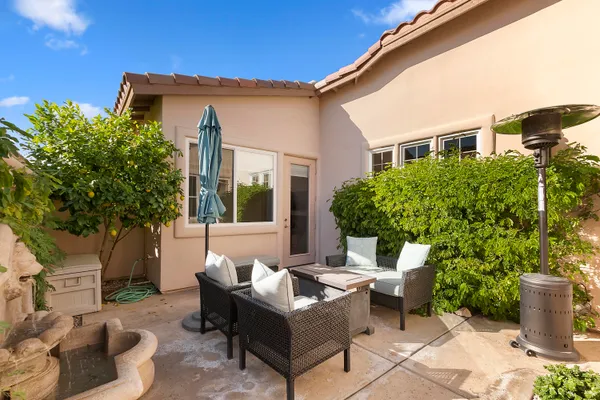 a view of a patio with couches and a potted plant and a large tree