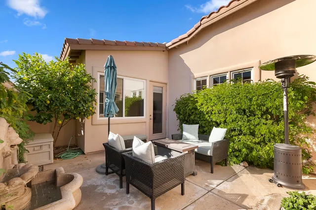 a view of a patio with couches and a potted plant and a large tree