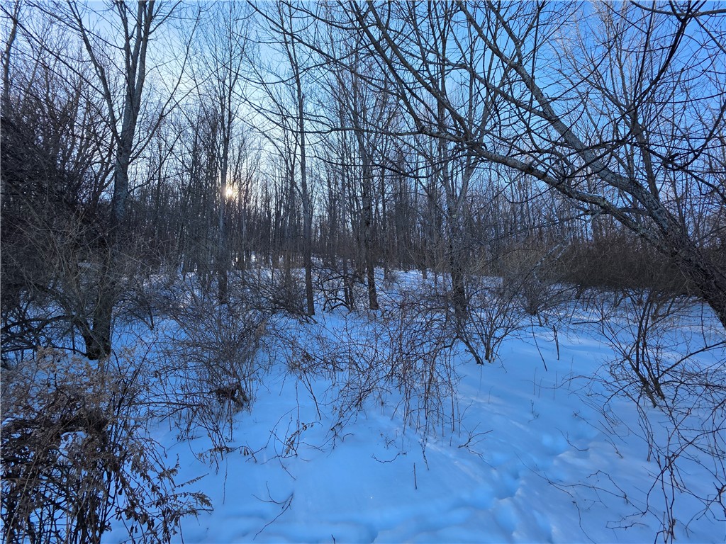 60 County Route Rexville, NY 14877 - Photo 11 of 42