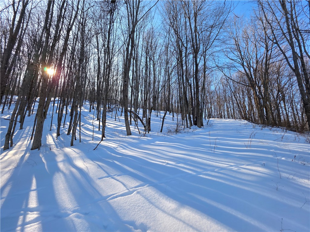 60 County Route Rexville, NY 14877 - Photo 12 of 42