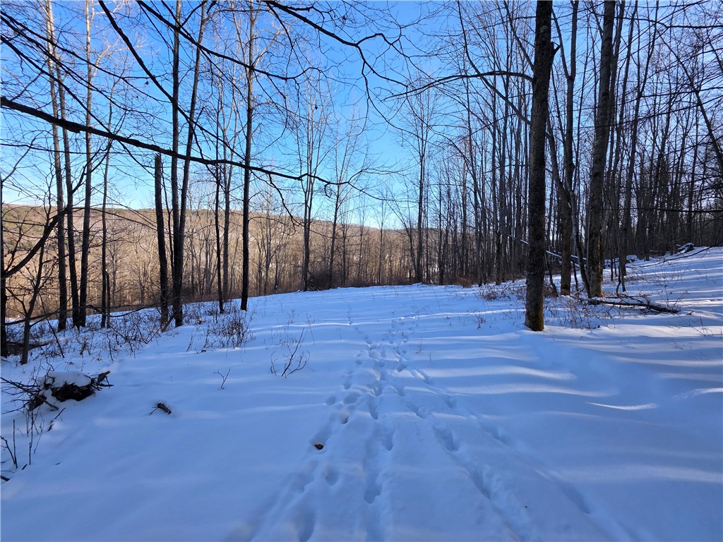 60 County Route Rexville, NY 14877 - Photo 14 of 42