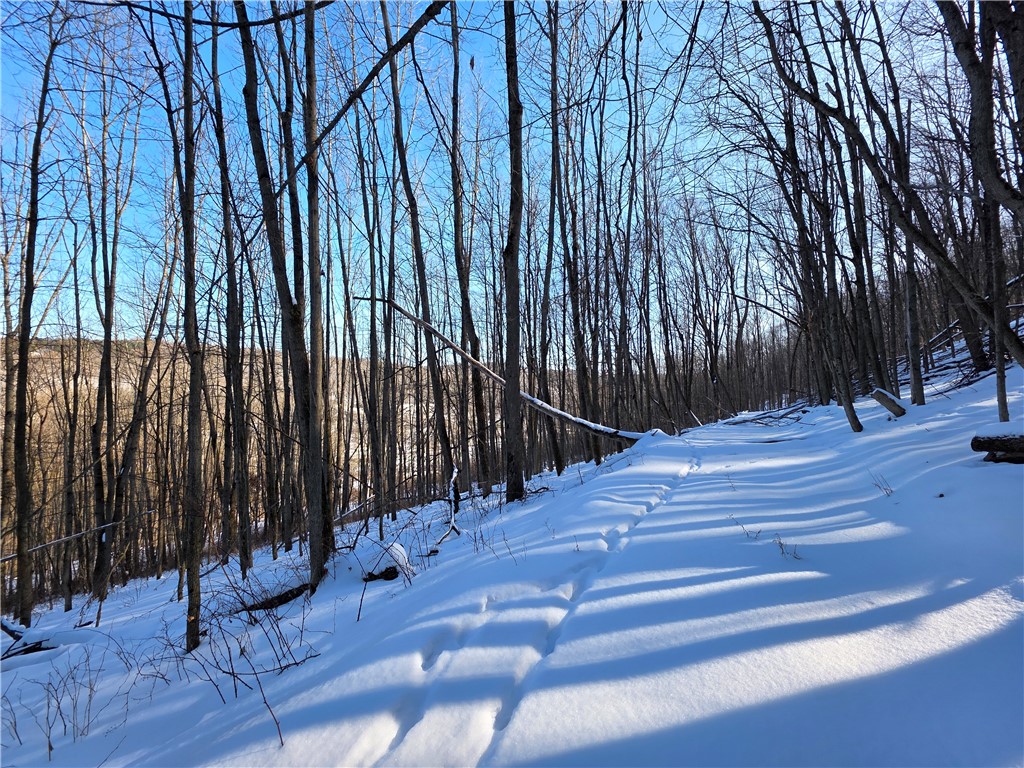 60 County Route Rexville, NY 14877 - Photo 15 of 42