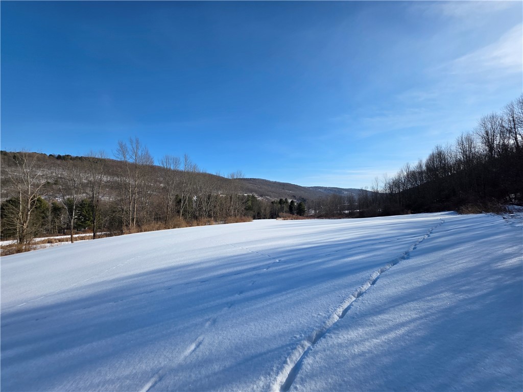 60 County Route Rexville, NY 14877 - Photo 17 of 42