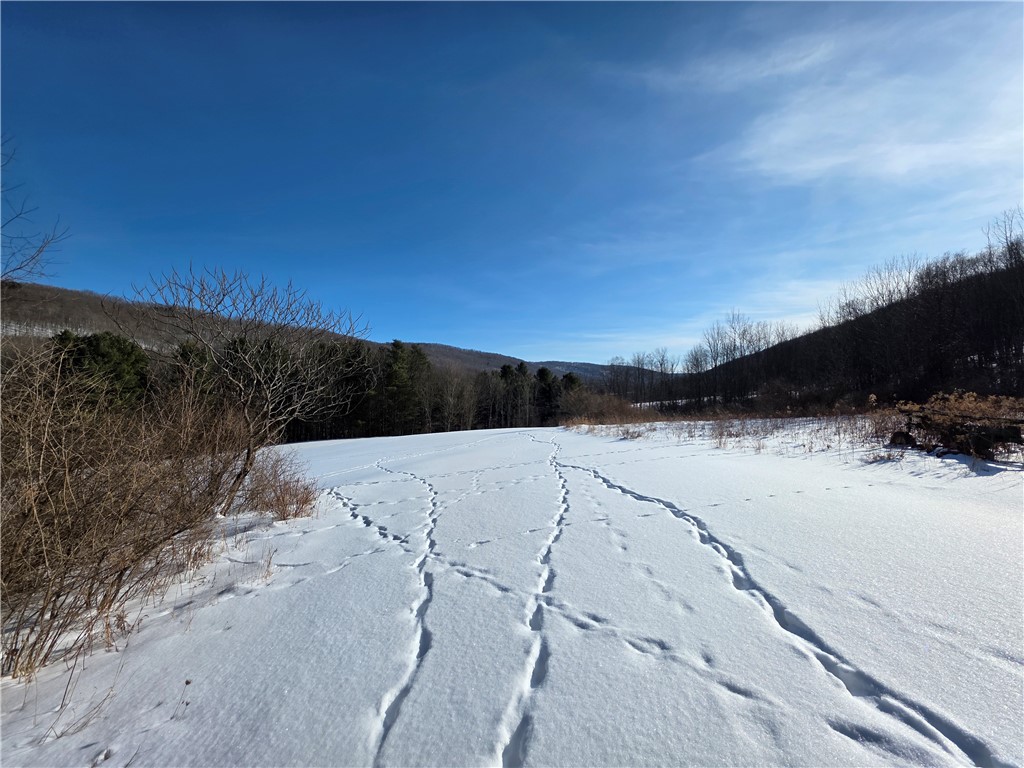 60 County Route Rexville, NY 14877 - Photo 18 of 42