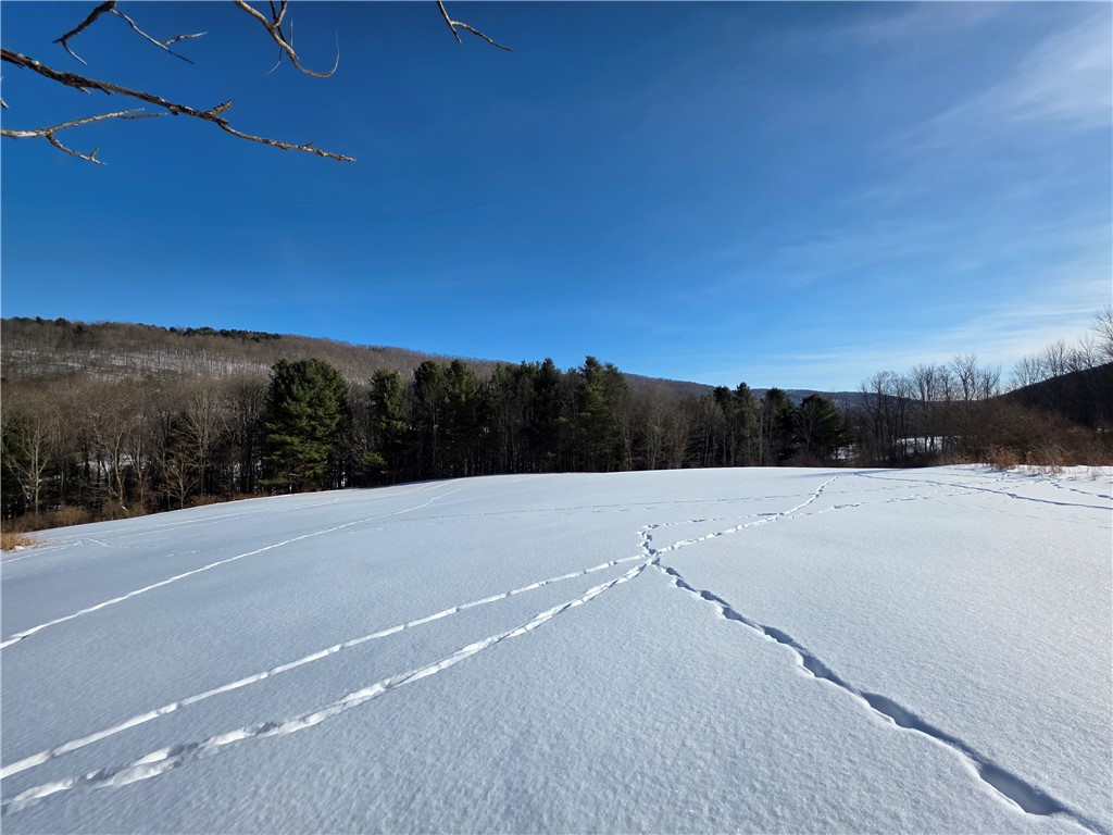 60 County Route Rexville, NY 14877 - Photo 19 of 42