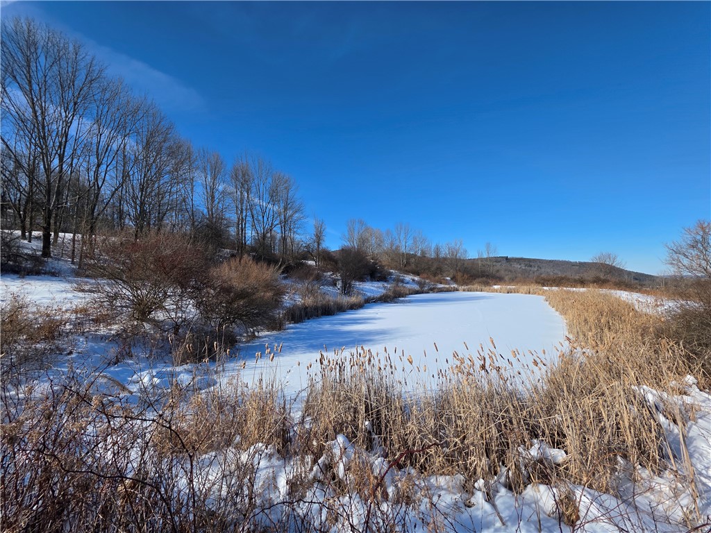 60 County Route Rexville, NY 14877 - Photo 20 of 42