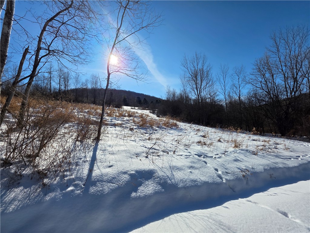 60 County Route Rexville, NY 14877 - Photo 2 of 42