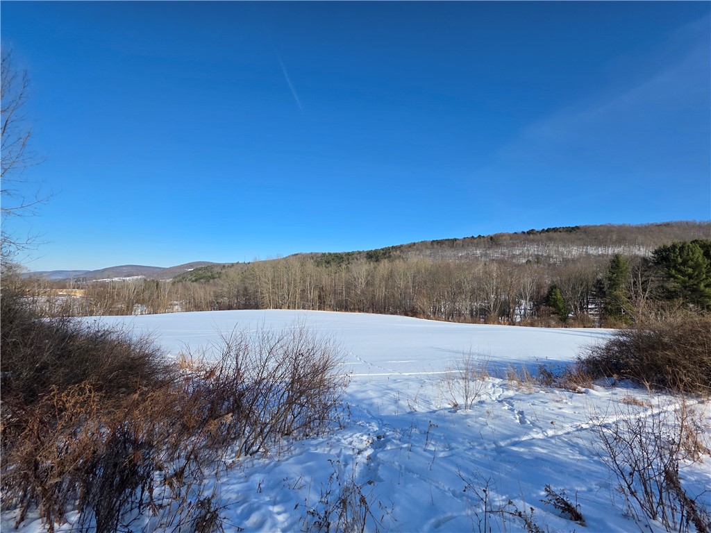 60 County Route Rexville, NY 14877 - Photo 21 of 42