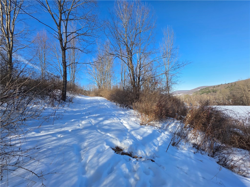 60 County Route Rexville, NY 14877 - Photo 22 of 42