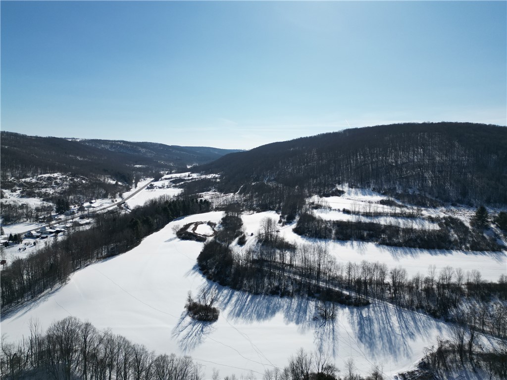 60 County Route Rexville, NY 14877 - Photo 23 of 42