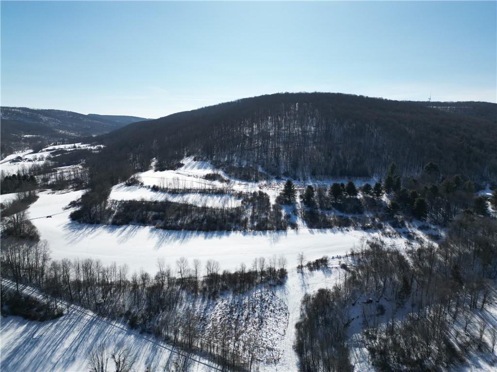 60 County Route Rexville, NY 14877 - Photo 24 of 42