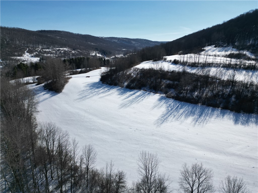 60 County Route Rexville, NY 14877 - Photo 26 of 42