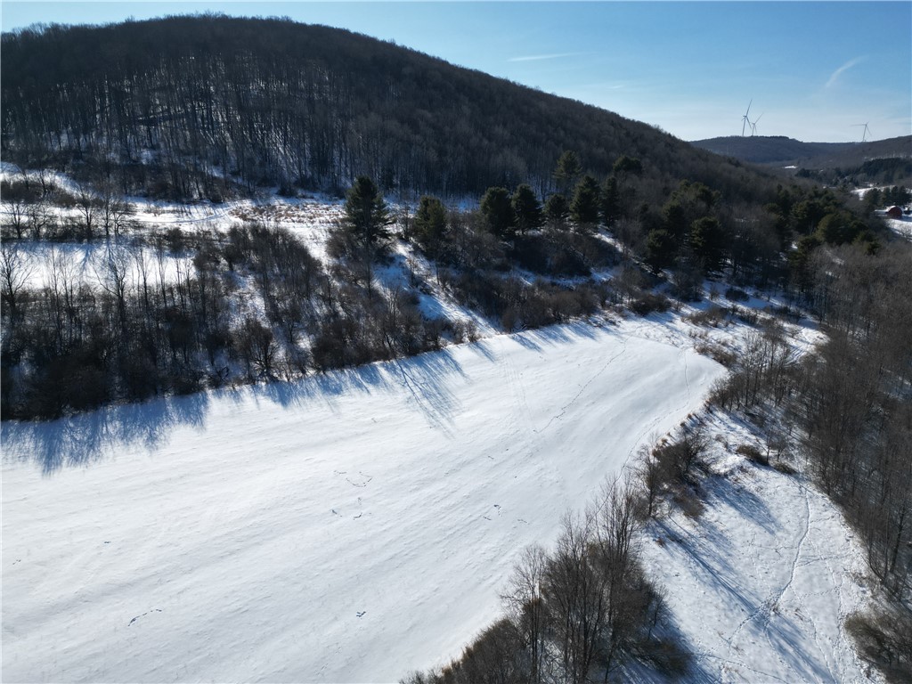 60 County Route Rexville, NY 14877 - Photo 27 of 42