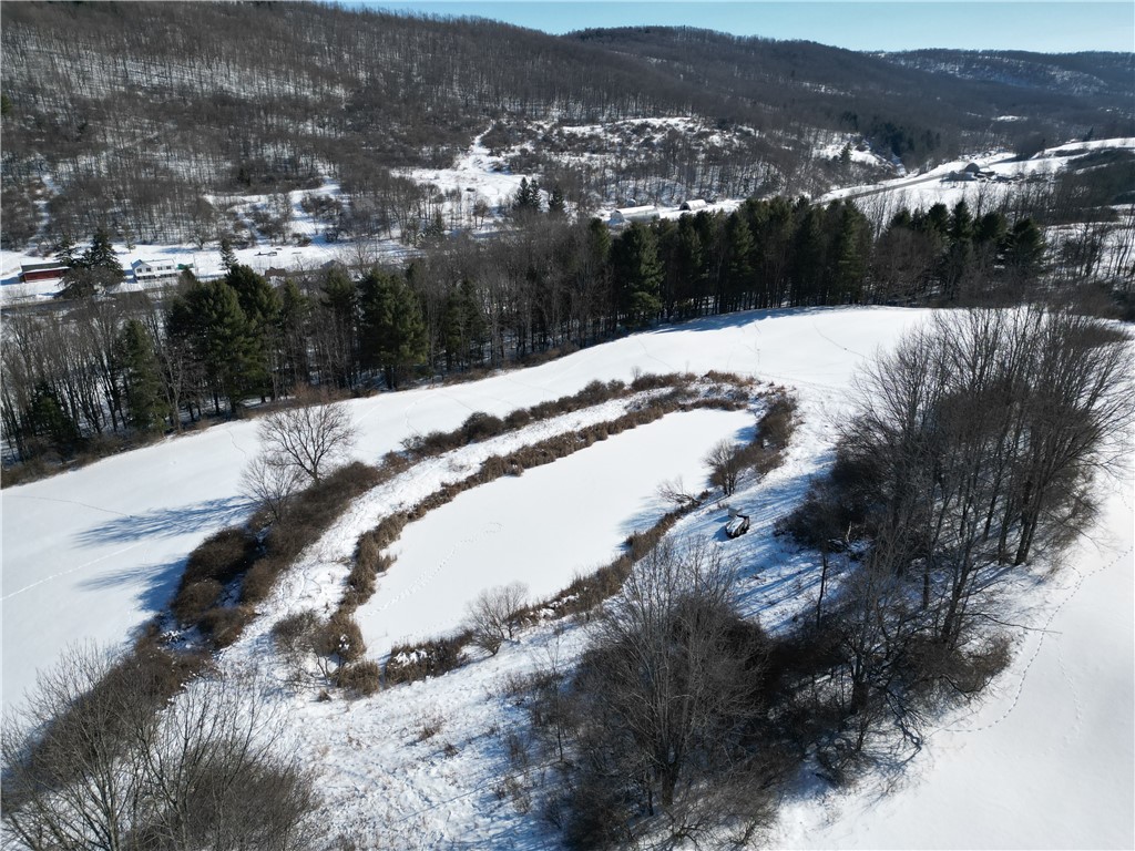 60 County Route Rexville, NY 14877 - Photo 29 of 42