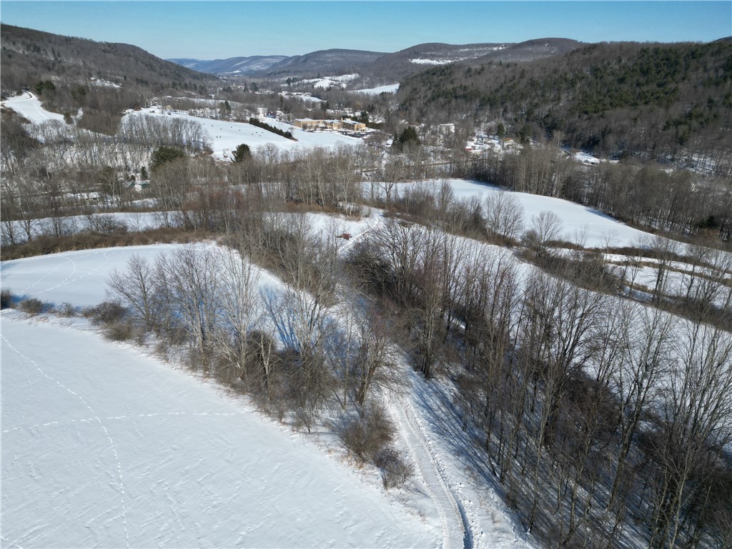 60 County Route Rexville, NY 14877 - Photo 30 of 42