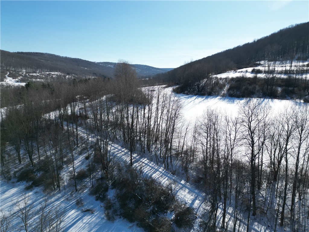 60 County Route Rexville, NY 14877 - Photo 32 of 42