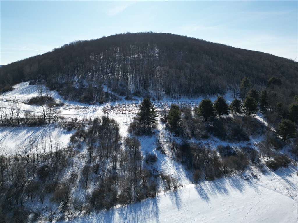 60 County Route Rexville, NY 14877 - Photo 33 of 42