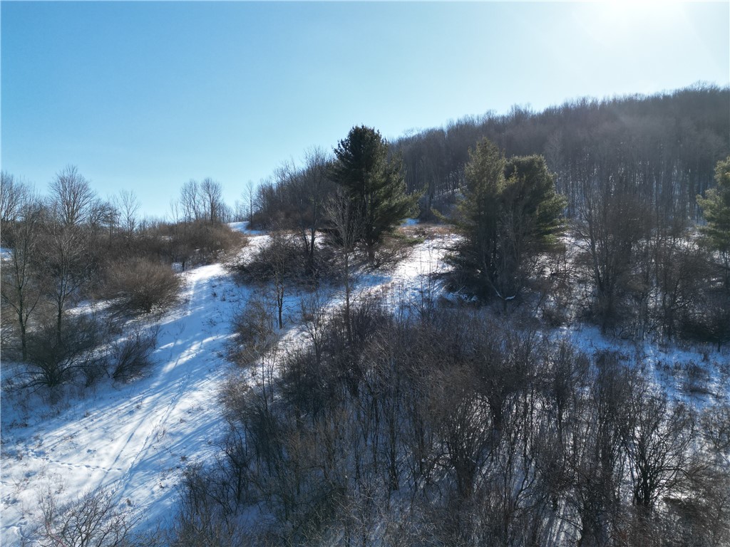 60 County Route Rexville, NY 14877 - Photo 34 of 42